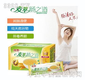 ���P�����c֮��