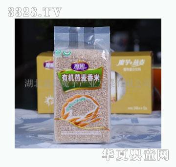 ħ���ЙC(j��)��������