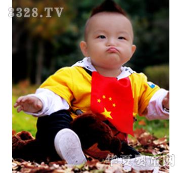 Λρ����ɐ���Ƭ