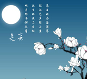 shiyi1