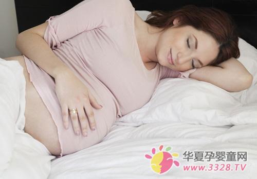 �Ћ���̥��(m��ng)��ȫ