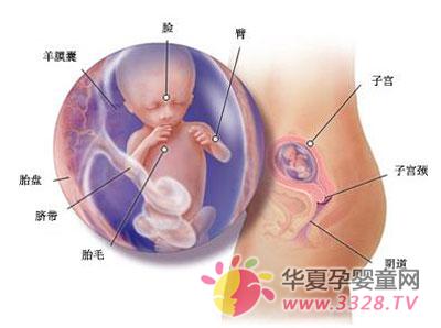 6��(g��)��̥���l(f��)��