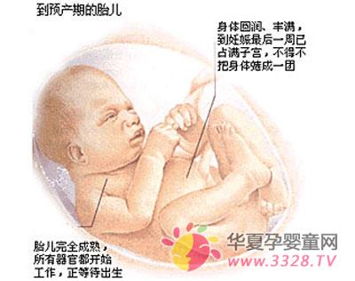 9��(g��)��̥���l(f��)��