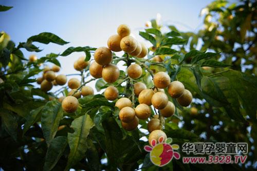 �����SƤʳ�V