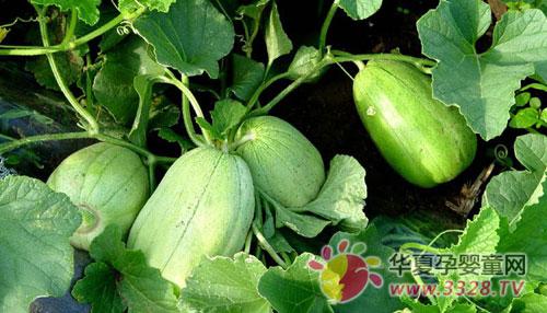 ���ڳ����ע�����(xi��ng)