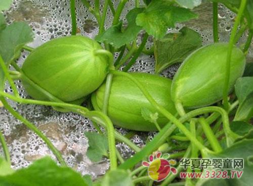 �������ʳ�V