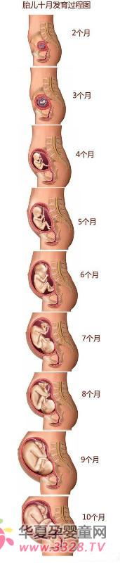 20���q����С�ɿ�ԓ֪���đ��г��R(sh��)