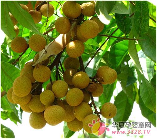 2013�V�݋��׃���Ʒչ��(hu��)׌��Ʒ�L�X���خa(ch��n)