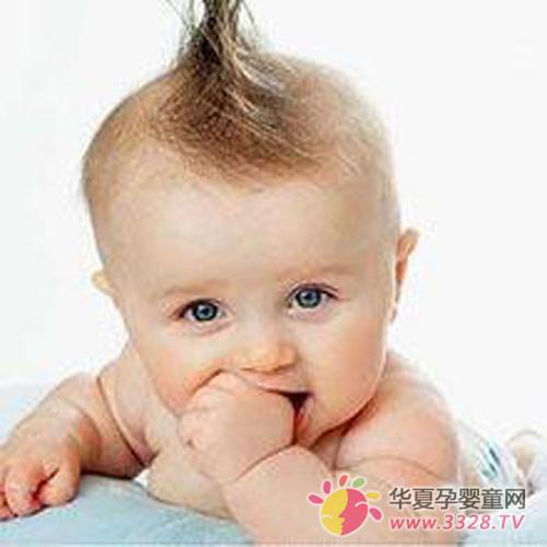 �����^�l(f��)�B(y��ng)�o(h��)���t