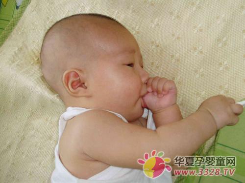 ��������ָ���z�Y