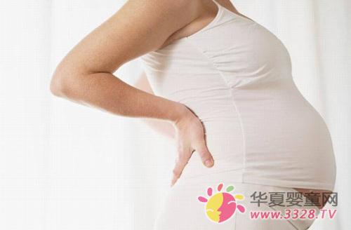 �ЋD���ڷ��