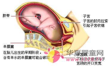 ����ȫ�^��