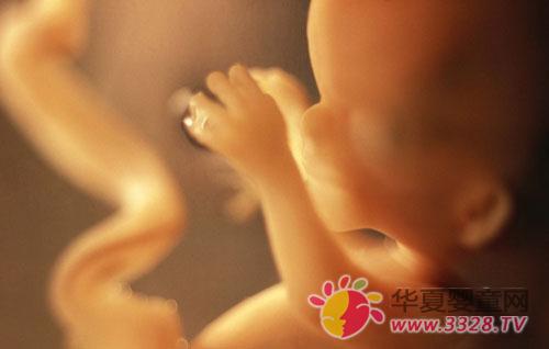 ��������Ѫ���ί�����