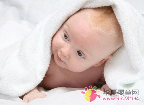 ���L(zh��ng)ι�����������������