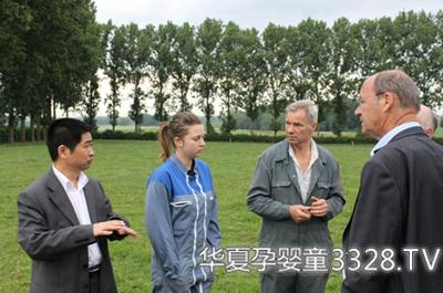 �R���棺���{(di��o)���̤����