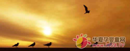 �Ǹ��ľ�Ʒ�ƺ�e���l(f��)��һ�w�_��