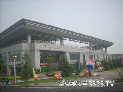 2012���(j��)�σ�ͯ�D����x��(ji��)���]��(j��)��˴����(gu��)�H��(hu��)չ����