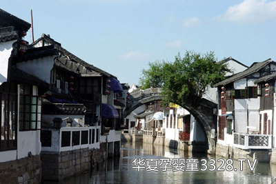 2012�Ϻ����ģ��չ�[��(hu��)�������[��ҽ�