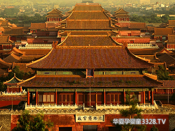 2012�걱��ͯ����(hu��)�����˽�Ŵ���������