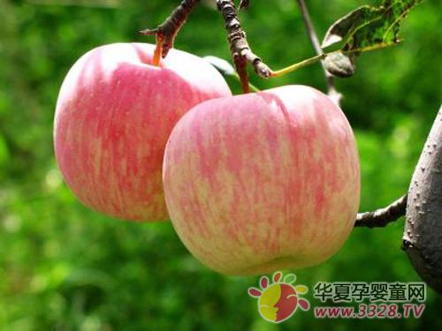 �ЋD�����ù�֭����{(di��o)��(ji��)