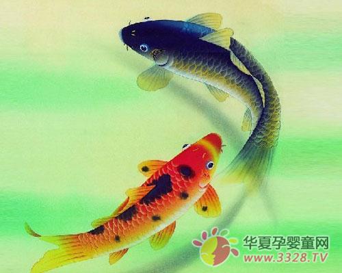 ��Щ�~(y��)�ڑ������g�Ͳ�������ò�Ҫ��?
