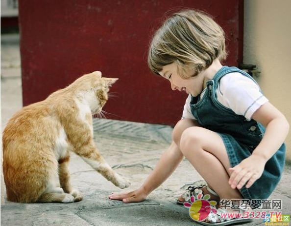 ��̙C�����J�롱��^�M������