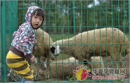 �����L��ͯ�zӰ����ͯ�zӰץ�ļ���
