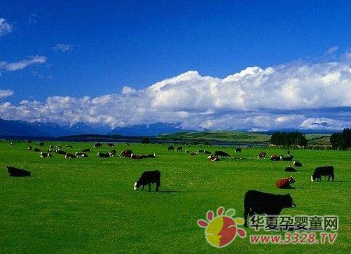 ���|ԭ�����a��YumYum NZ Milk�̷�ȫ�̺��o��������