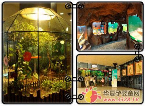 ʮһ�S�����������]��������ȥ������m��