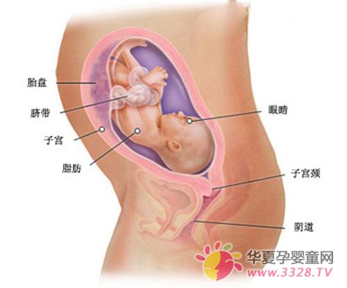 ���а˂���Ů̥���D