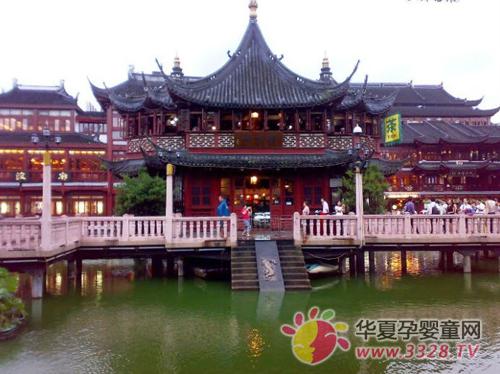 2012���Ϻ����Ճ�ͯ��(ji��)������Bԥ�@�L(f��ng)��