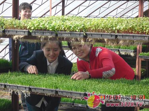 2012ȫ��(gu��)�����B�i��(chu��ng)��չ�����싌�����ط��l(f��)�P(y��ng)���