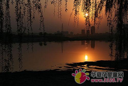 ���(y��ng)2013�����չ����ȥ���ӿ�����