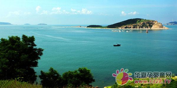 �L�u�gӭ������2013�꟟�_�׽̲��[��