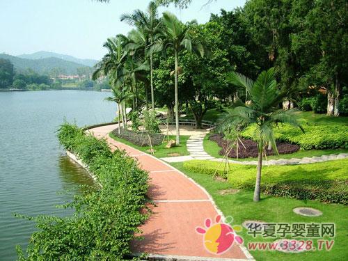 2013��4�ÏV�݇�(gu��)�H��ͯƷչ�[��(hu��)��������V�ݰ���ɽ