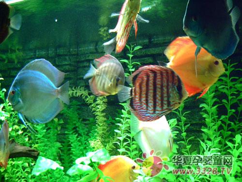 2013���12���Ї�(gu��)���չ���������Ϻ�����ˮ���^