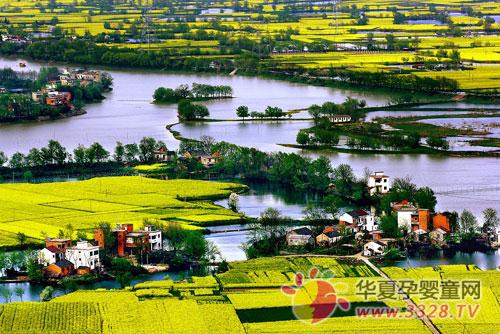 ���M(j��n)ʏ������2013�갲��ĸ����Ʒչ