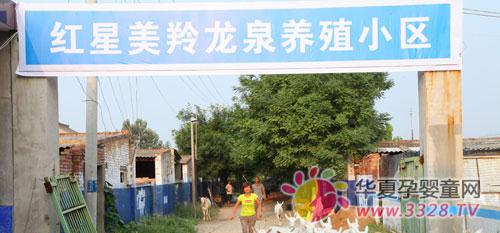 �t����I(y��)�����M��Ҋ�Cţ�����a�^��